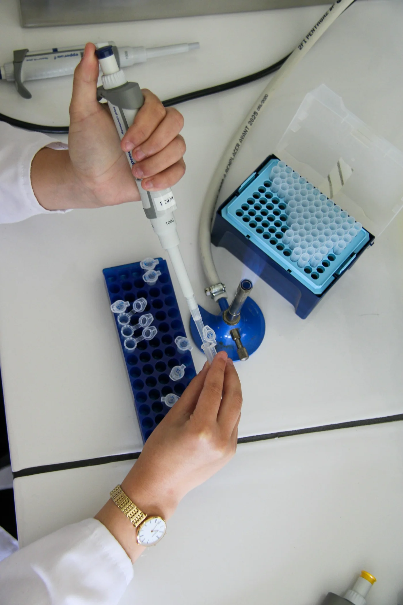 Trabajo con una micropipeta y tubos de laboratorio. Fotografía de contexto científico; no muestra un dispositivo VSAFE ni una prueba de GHB.