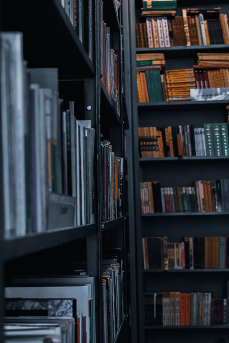 Estanterías de una biblioteca. Fotografía de recurso sobre espacios de estudio; no corresponde al campus de York ni al operativo policial.